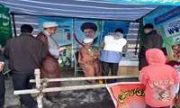 غربالگری بیماری‌های غیرواگیر در جشن کیلومتری نیمه شعبان 